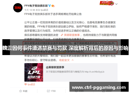 魏震因何事件遭遇禁赛与罚款 深度解析背后的原因与影响