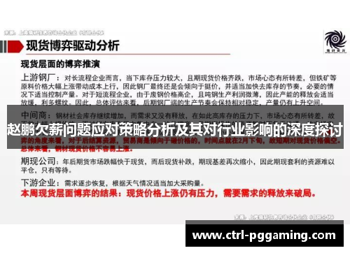 赵鹏欠薪问题应对策略分析及其对行业影响的深度探讨