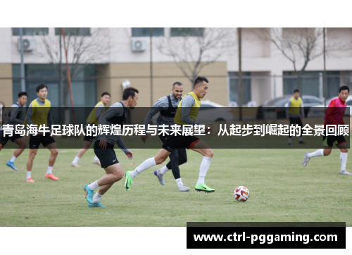 青岛海牛足球队的辉煌历程与未来展望:从起步到崛起的全景回顾 青岛海牛足球队的辉煌历程与未来展望:从起步到崛起的全景回顾