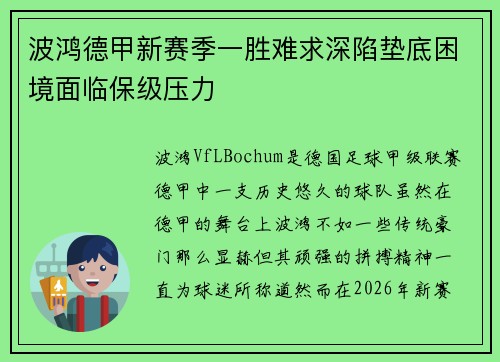 波鸿德甲新赛季一胜难求深陷垫底困境面临保级压力 波鸿德甲新赛季一胜难求深陷垫底困境面临保级压力
